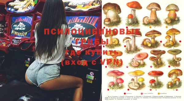 мдпв Иннополис
