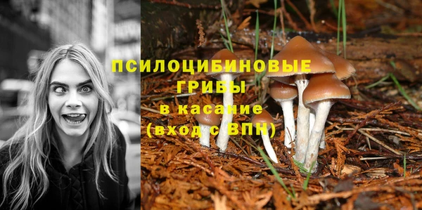 COCAINE Инсар