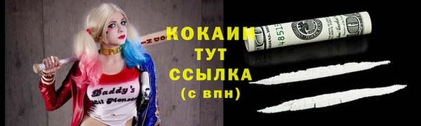 МДПВ Инта