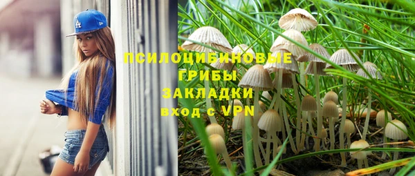 COCAINE Инсар
