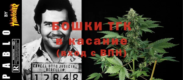 МДПВ Инта