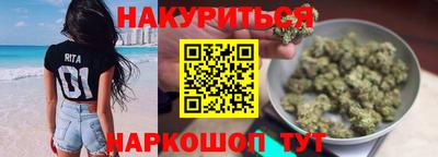 шишки Аргун