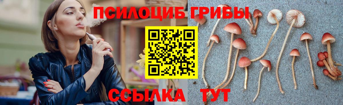 Псилоцибиновые грибы ЛСД  Шуя 